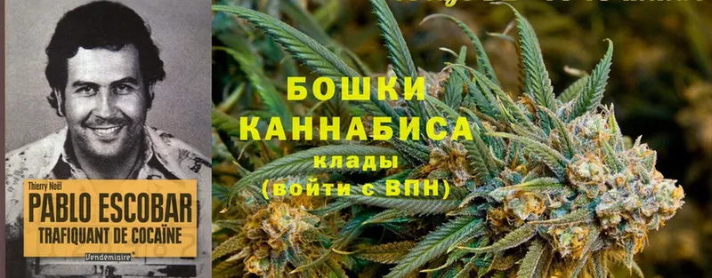 Канабис Ganja  цена наркотик  Приморск 